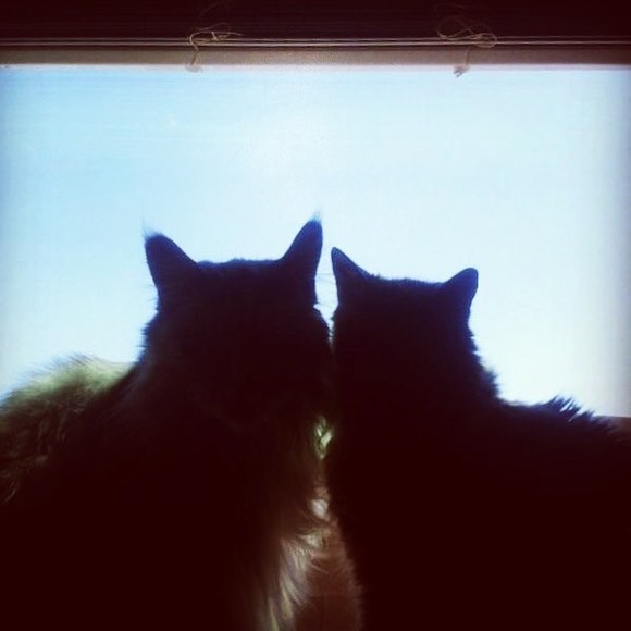 Meet your Posher, Rebecca - Picture 1 of 1